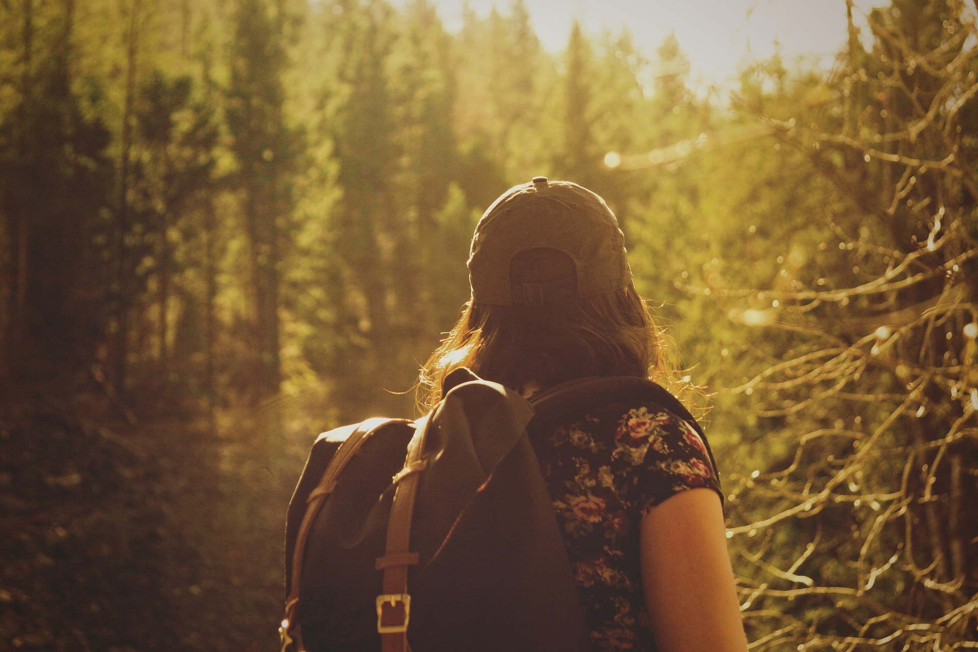 Wandern auf dem Forststeig